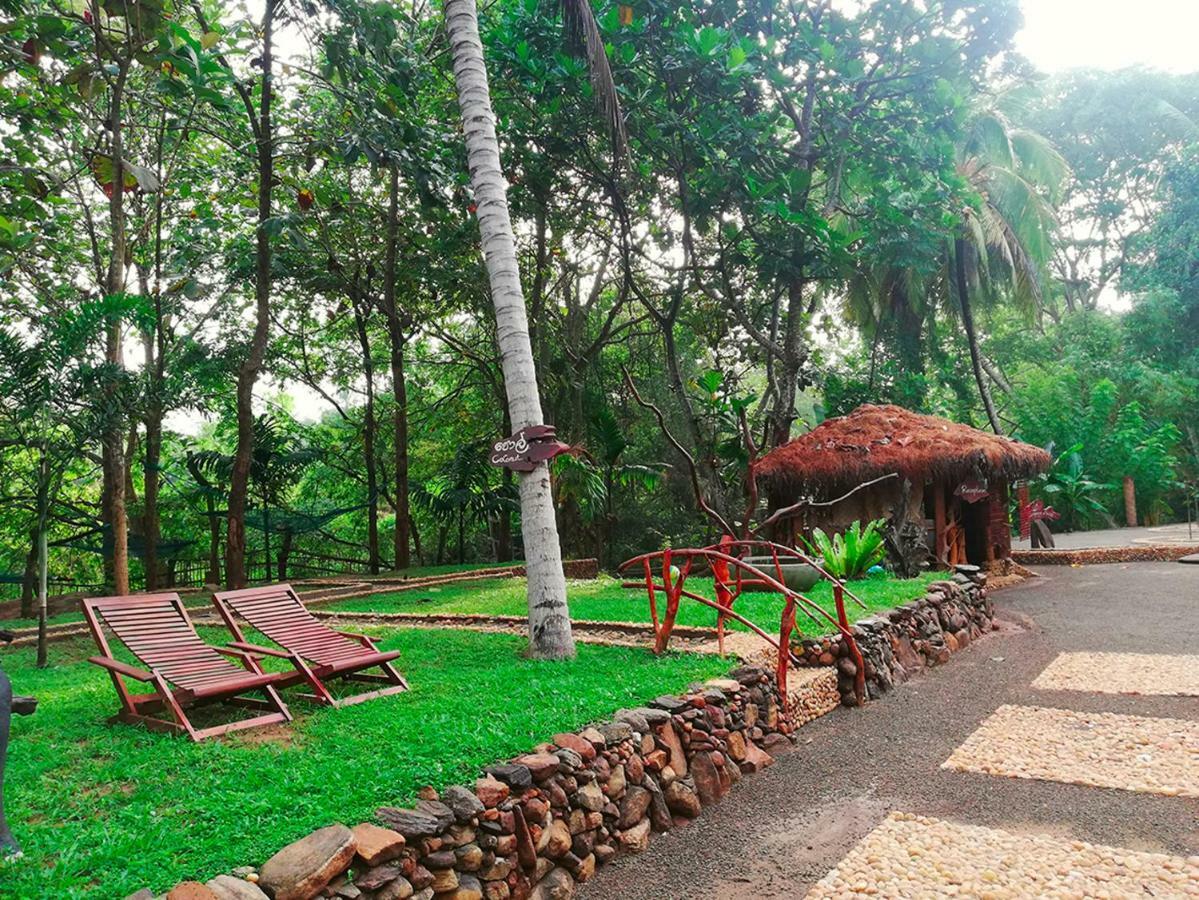 Atha Safari Resort & Riverside Camping 우다왈라웨 외부 사진