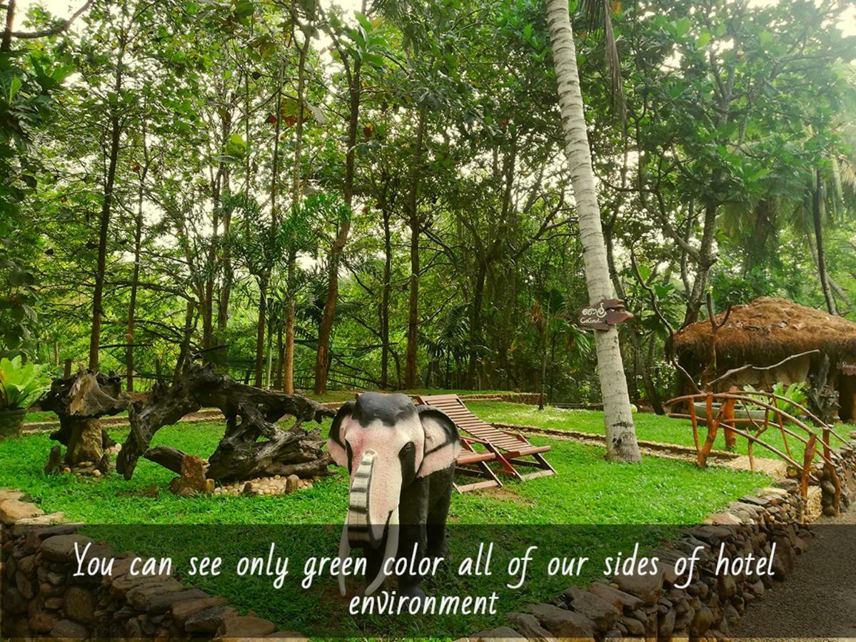Atha Safari Resort & Riverside Camping 우다왈라웨 외부 사진