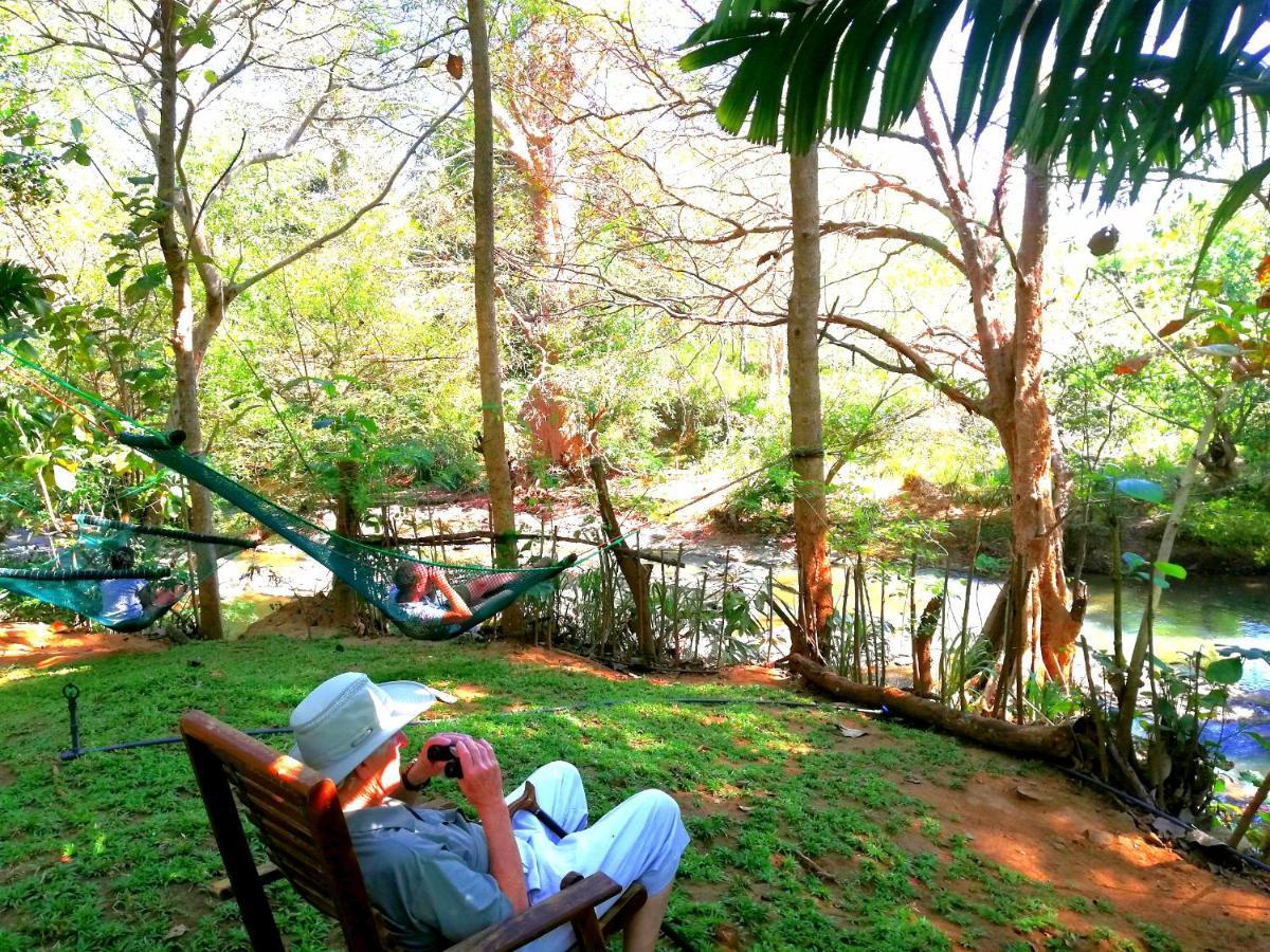 Atha Safari Resort & Riverside Camping 우다왈라웨 외부 사진